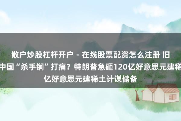 散户炒股杠杆开户 - 在线股票配资怎么注册 旧年买卖战被中国“杀手锏”打痛？特朗普急砸120亿好意思元建稀土计谋储备