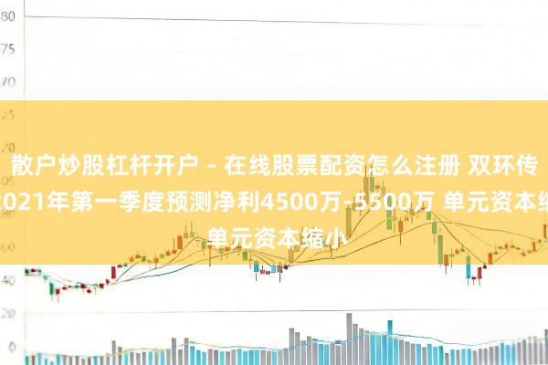 散户炒股杠杆开户 - 在线股票配资怎么注册 双环传动2021年第一季度预测净利4500万-5500万 单元资本缩小