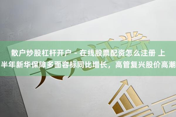散户炒股杠杆开户 - 在线股票配资怎么注册 上半年新华保障多面容标同比增长，高管复兴股价高潮