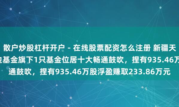 散户炒股杠杆开户 - 在线股票配资怎么注册 新疆天业股价涨5.03%，南边基金旗下1只基金位居十大畅通鼓吹，捏有935.46万股浮盈赚取233.86万元