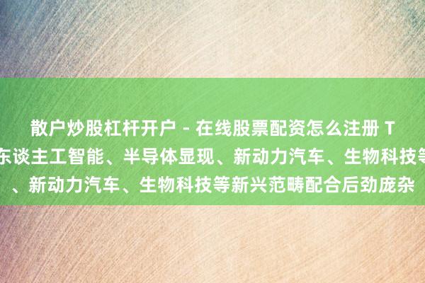 散户炒股杠杆开户 - 在线股票配资怎么注册 TCL李东生：中韩两国在东谈主工智能、半导体显现、新动力汽车、生物科技等新兴范畴配合后劲庞杂