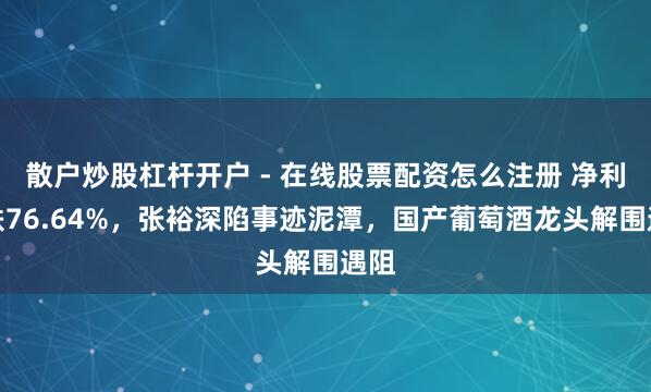 散户炒股杠杆开户 - 在线股票配资怎么注册 净利暴跌76.64%，张裕深陷事迹泥潭，国产葡萄酒龙头解围遇阻