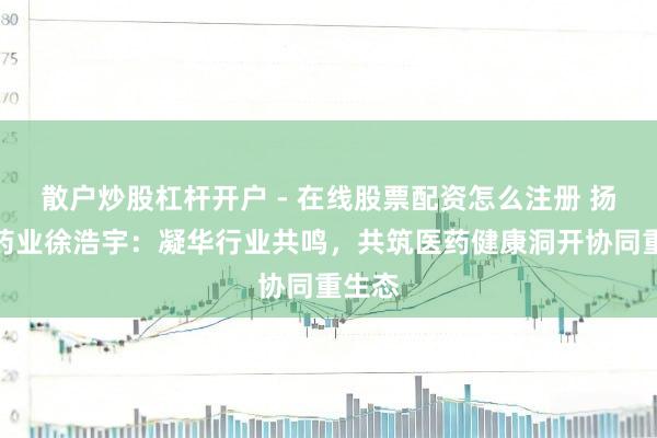 散户炒股杠杆开户 - 在线股票配资怎么注册 扬子江药业徐浩宇：凝华行业共鸣，共筑医药健康洞开协同重生态